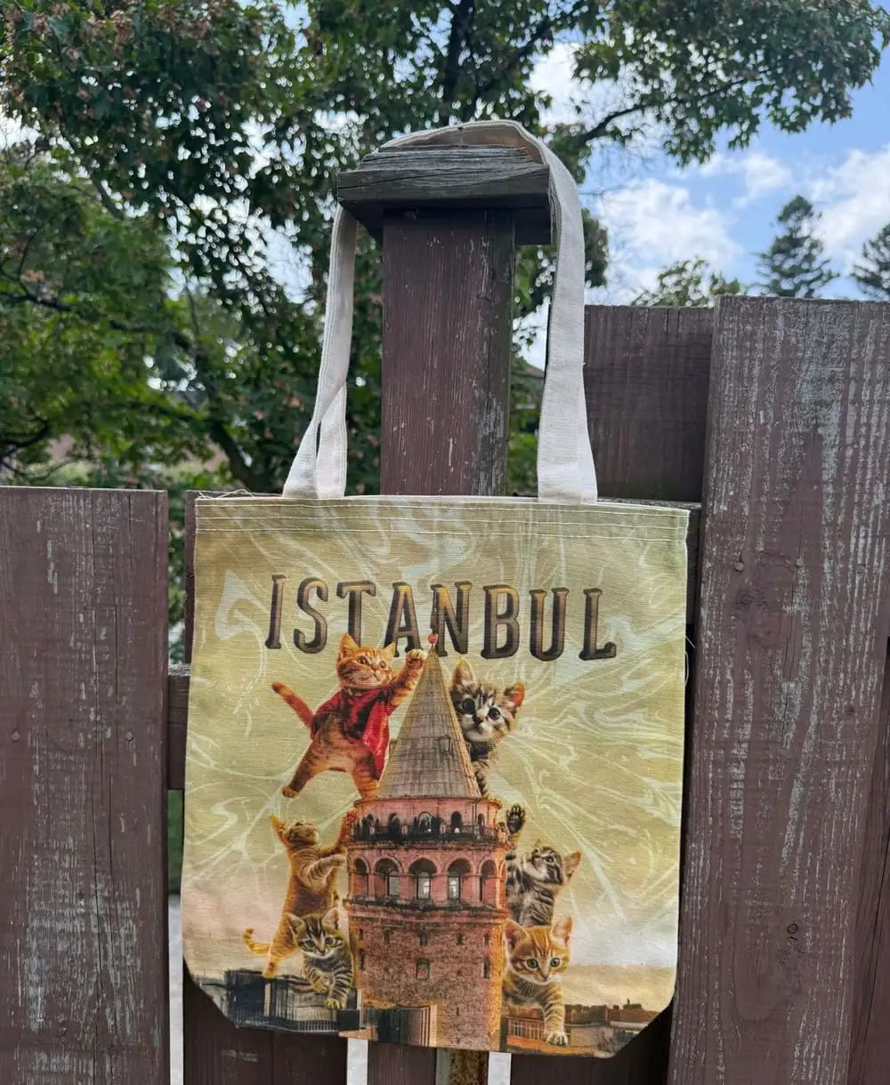Istanbul Tote Bag: an all-over print of cats in front of Galata Tower.
